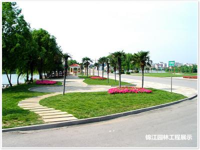 百家湖鳳凰廣場
