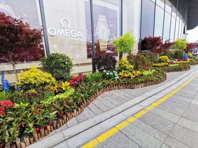 河西金鷹廣場