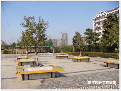科學(xué)園激情廣場